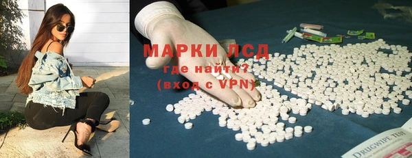 эйфоретик Алзамай