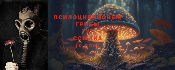 эйфоретик Алзамай
