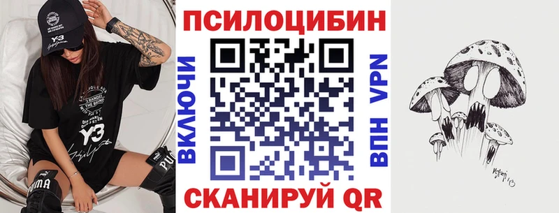 blacksprut сайт  Артёмовский  Псилоцибиновые грибы Psilocybine cubensis 